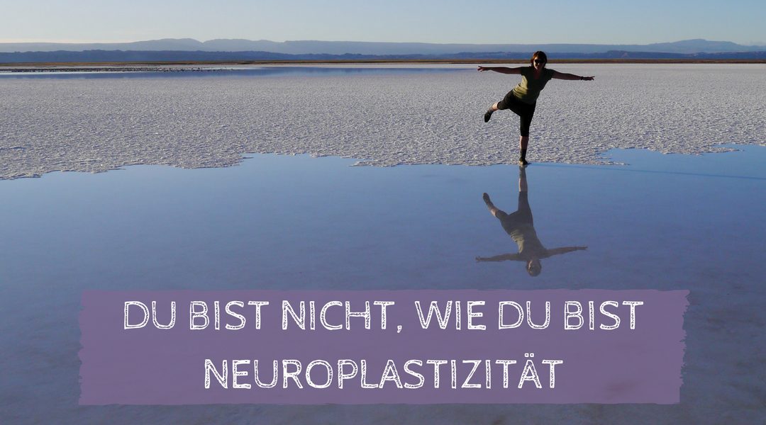 Neuroplastizität – Du bist nicht, wie du bist